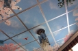 Ceiling 02 - Blue sky, flowers and doves