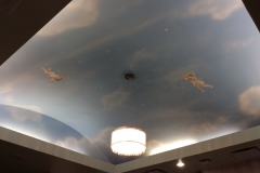 spa ceiling