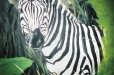 Zebra safari. Child's room mural. Wildlife mural