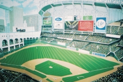 Child's room mural. Sports theme. Reliant stadium