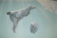 FINS, Indoor Swimming. Spring, TX. Polar Bears