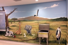 hospital-safari2