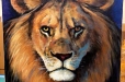 Lion-Acrylic-on-canvas